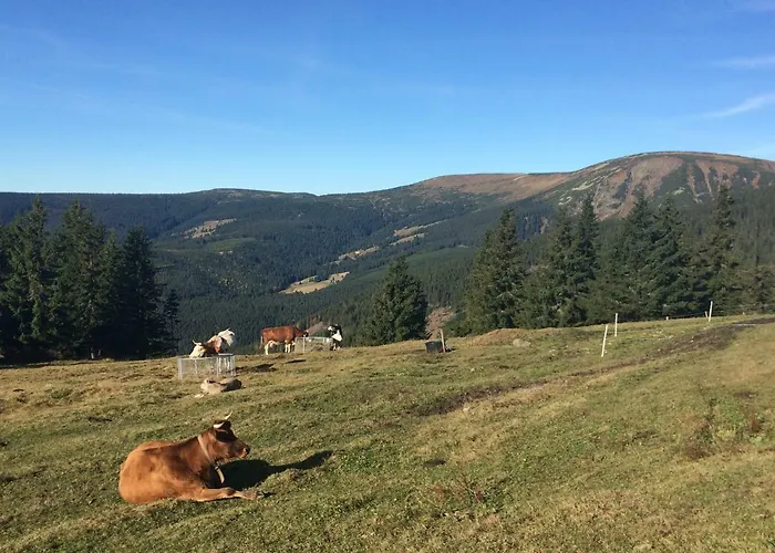Pod Cernou Horou Lägenhet *